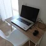 Apartment Casa Miro' Vicinissima Al Mare E Parcheggio Privato Gratuito Se Disponibile