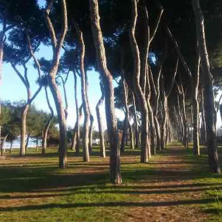 Apartment Casa Miro' Vicinissima Al Mare E Parcheggio Privato Gratuito Se Disponibile *