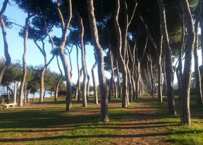 Apartmán Casa Miro' Vicinissima Al Mare E Parcheggio Privato Gratuito Se Disponibile *